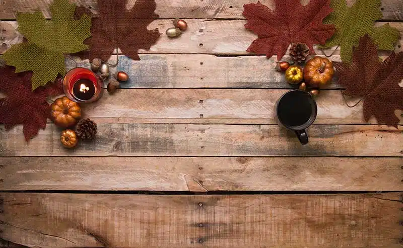 Celebrate a Green Thanksgiving