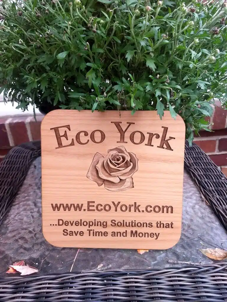 Eco York