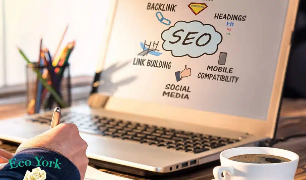 Website Design