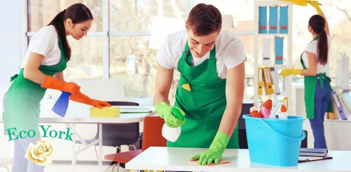 cleaning business software