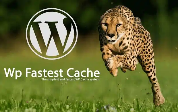 WP Fastest Cache System