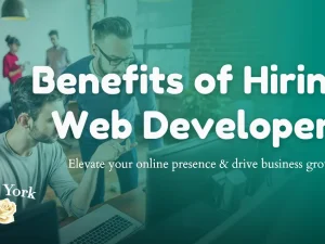 Benefits of Hiring a Web Application Developer