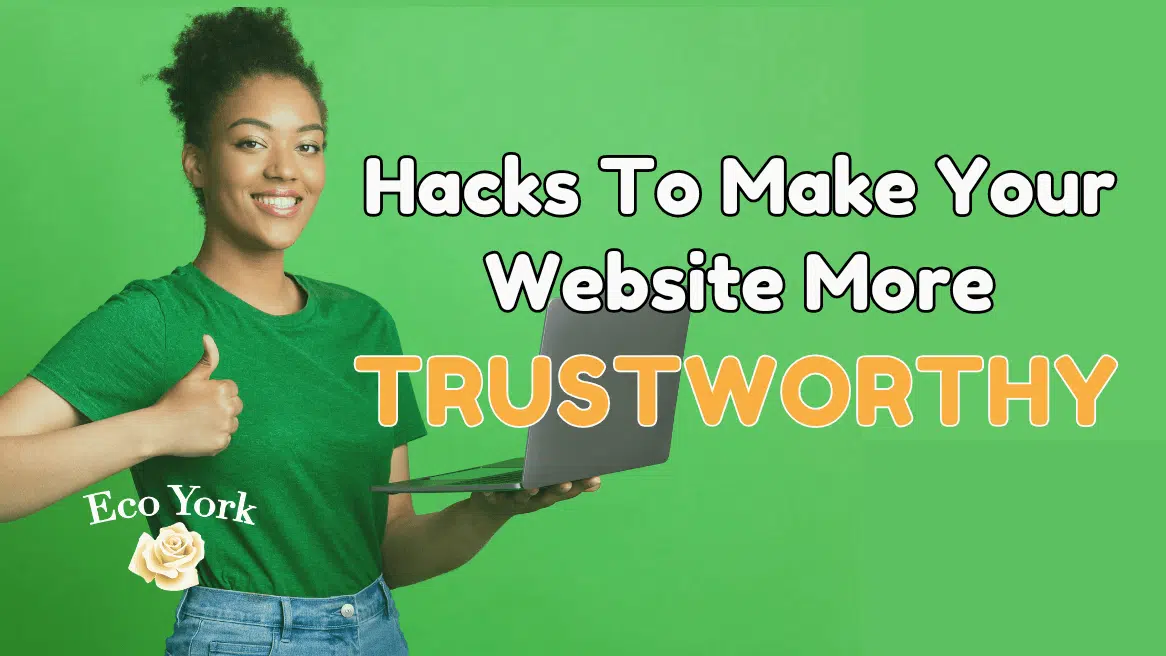 website development and design