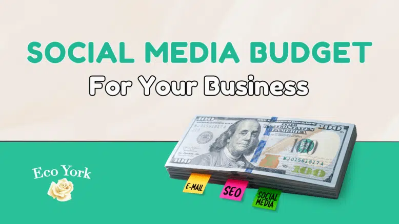 Social Media Budget