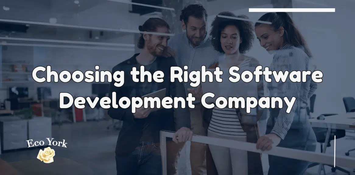 Software Development Company
