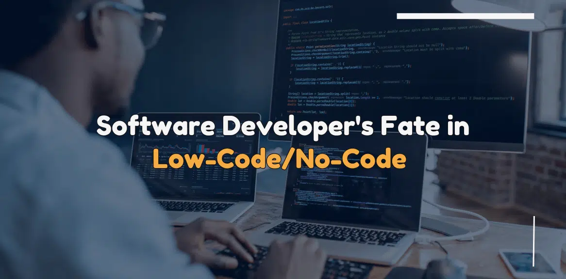 Software Developer Fate