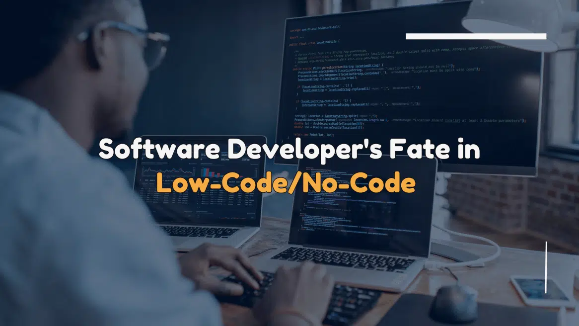 Software Developer Fate