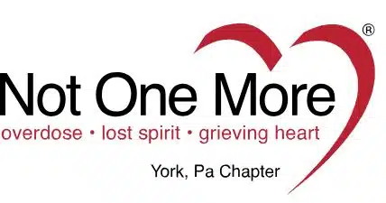 not one more non profit ORG